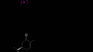 02 Stereochemistry 04 RS system for cyclic compounds [upl. by Mian294]