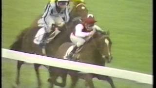 1985 Laurent Perrier Champagne Stakes [upl. by Arnon]