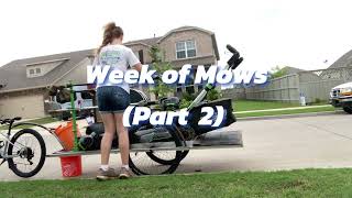 14yr Old Girl Making 264 in a Week Mowing Lawns Part 2 [upl. by Wallach]