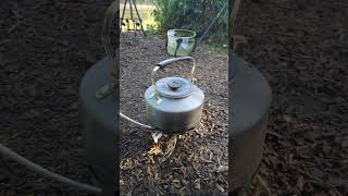 Carping Bulin Stove Issue sifishes [upl. by Vanya516]