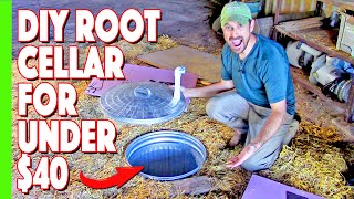 Our Simple Inexpensive Root Cellar Build [upl. by Luanni]