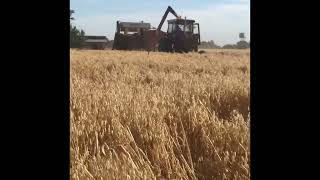 Our International Harvester 766 Tractor pulling the international harvester 726 combine harvester [upl. by Urbani]