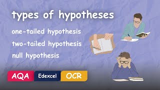 Types of Hypotheses in Psychology Explained Alevel Revision [upl. by Nosreve]