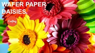 Make a Wafer Paper Daisy  Cake Decorating Tutorial with Kara Andretta [upl. by Acina]