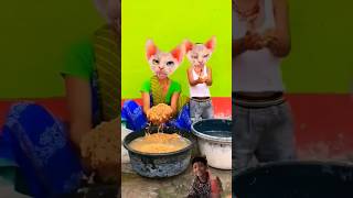 dhinka chika dhinka chika 🤪🤩🤩🤩🤣🤩🤩🤣 funny youtubeshorts trending cute cat pets comedy bhoot [upl. by Amekahs]