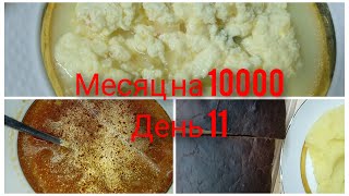 Месяц на 10000 День 11 Бюджетное меню на семью из 4 человек [upl. by Ekaj]