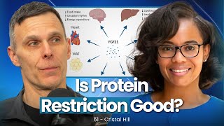 The Benefits of Protein Restriction How Protein Affects Hormones amp FGF21  52  Cristal Hill [upl. by Alenoel]