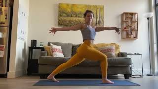 20 Minute CORE amp BALANCE Yoga Flow ｜ Suzie Ray Yoga 008 [upl. by Lilahk679]