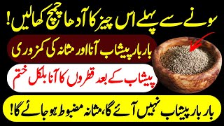 Urine Problem  Peshab K Bar Bar Aany Ka Desi Ilaj  Masana Ki Kamzori Ka Gharelu Ilaj Urdu Hindi [upl. by Atrice]