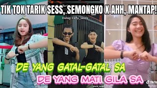 Tik Tok Goyang DC Tarik Sess Semongko X Ahh Mantap [upl. by Nojram]