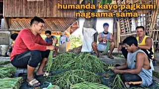 NAGSALITA Mga Kasama Ko Sa Bukid May Naisip Gawin ang Tropa [upl. by Adirehs952]