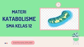 KATABOLISME SMA KELAS 12METABOLISMEANABOLISMERESPIRASI AEROBRESPIRASI ANAEROBFERMENTASI [upl. by Yantruoc]