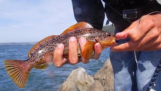 Day 3 Cooking Abalone Fishing for Trout Salmon and Rock Fish SOLO 1600 Mile Fishing Road Trip [upl. by Buerger]