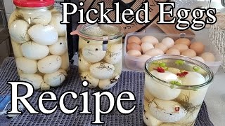 Pickling a Glut of Chicken Eggs Recipe Back From Vacation [upl. by Doran284]