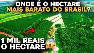 ONDE FICA O HECTARE MAIS BARATO E O MAIS CARO DO BRASIL [upl. by Crompton4]