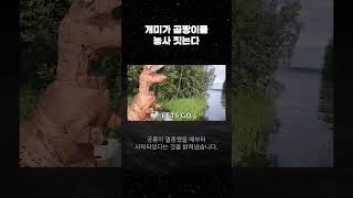 개미가 곰팡이를 농사 짓는다 [upl. by Race]