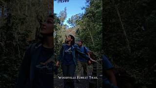 🌲 Hiking the Woodville Forest Trail🌲 hiking hikinglife hikingadventures forest bigtree [upl. by Ravid246]