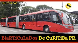 ✅ Movimentação de Ônibus e Biarticulados no Terminal do Pinheirinho Curitiba Pr [upl. by Lebezej]