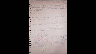 Biosynthesis of Flavonoids Acetate and Shikimic Acid Pathway for Biosynthesis of Flavonoidsshorts [upl. by Faludi]