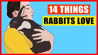 14 Things Rabbits Love the Most [upl. by Harvie]