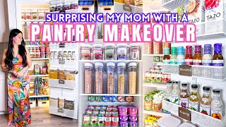 ULTIMATE PANTRY ORGANIZATION  Satisfying Clean and Pantry Restock Organizing on a Budget [upl. by Aratehs]