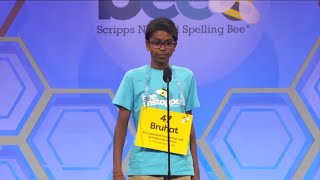 12yearold Tampa boy becomes finalist at Scripps National Spelling Bee [upl. by Grenier]