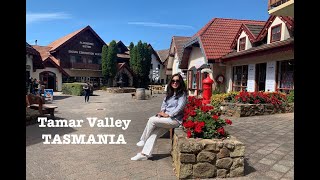 Vlog 231  Sightseeing Tamar Valley North Tasmania មកមើលទេសភាពនៃភាគខាងជើង កោះតាស់ស្មានីញ៉ា [upl. by Yung]