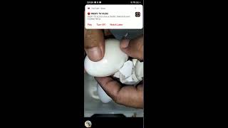 Aiby Gomez vlog is live WHITE DUCK EGG CRACKING PEELING YUMMY trending viralvideo [upl. by Rik694]