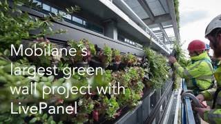 Mobilanes largest LivePanel green wall project [upl. by Oretna317]