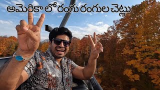 అమెరికా లో రంగు రంగుల చెట్లు  BOYNE FALLS USA brvlogs [upl. by Roshelle958]