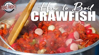 Boiling the Best Crawfish At Home [upl. by Erolyat644]