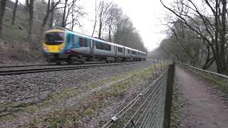 Transpennine Train at Luddenden Foot at 1137am Wednesday 3rd January 2024 Please subscribe [upl. by Geminian]