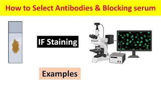 Immunofluorescence IF Staining Choosing Primary Antibody Secondary Antibody and Blocking Serum [upl. by Niro]