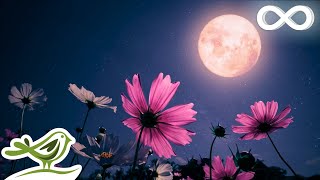 Midnight Calm Deep Sleep Music with Black Screen  Fall Asleep with Ambient Music [upl. by Esiouqrut]