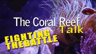 FIGHTING THE BATTLE REEF TANK UPDATES [upl. by Atirehgram]