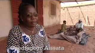 Adapting to climate change in the Sahel [upl. by Anniala]