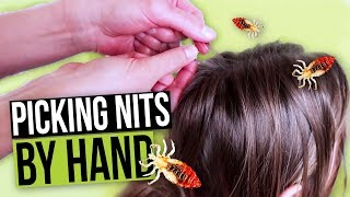 Nit Picking By Hand  How to Pick Nits and Lice Eggs out of Hair [upl. by Leahcym504]