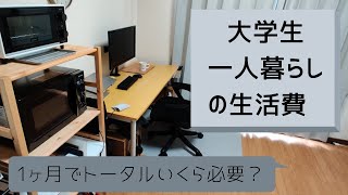 【一人暮らし】大学生の生活費は？1ヶ月にかかる費用はどれくらい？ [upl. by Foote898]