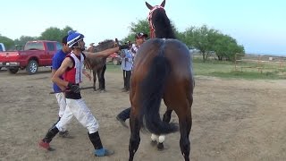 CARRERAS DE CABALLOS POTRILLOS [upl. by Cl]