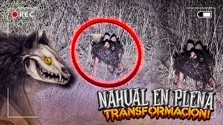 Me Encontré con un NAHUAL en Plena TRANSFORMACIÓN [upl. by Eidak]