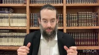 Chelek 15 Asara BTeves  Rabbi Fishel Oster [upl. by Flanigan]