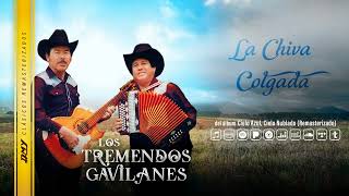 Los Tremendos Gavilanes  La Chiva Colgada Remasterizado Audio Oficial [upl. by Rephotsirhc]