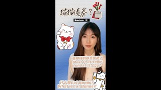 全球最赚钱的基金？猫猫债券拯救世界！The worlds most profitable fund Cat Bond saves the world [upl. by Adehsar89]