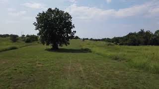 Brenham Disc Golf  Hole 04  Brenham Family Park [upl. by Cerys312]