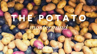 Potato Mastermind  Part 2 [upl. by Cram]