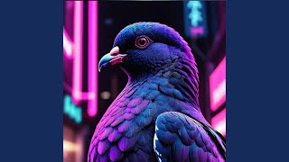 Pigeon [upl. by Leftwich]