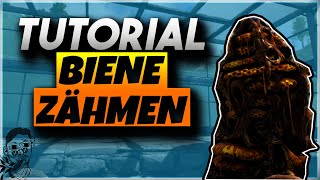 🐝🏹 Ark Biene zähmen amp Honig farmen Tutorial  Ark Survival Evolved [upl. by Helga]