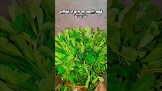 Kya aapko Methi khane ke benefits pata hai Shorts tendding ytviralyoutubeshorts fenugreekrecpie [upl. by Naujet]