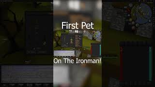 HCIM First Pet  Old School Runescape [upl. by Hcirdeirf]