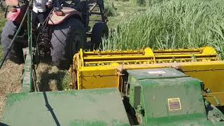 Pasto Maralfalfa 1 ½ mesJohn Deere 3960 Ft case Jx 80 [upl. by Atnomed]